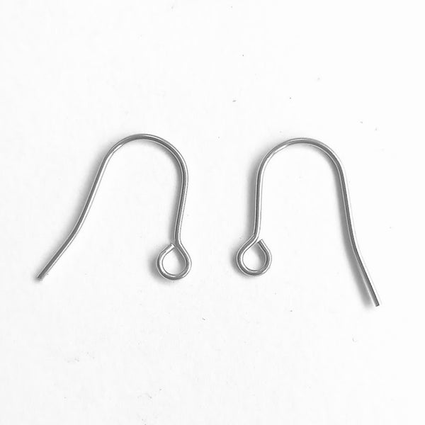 304 Stainless Steel Earring Hooks | Sold in pairs