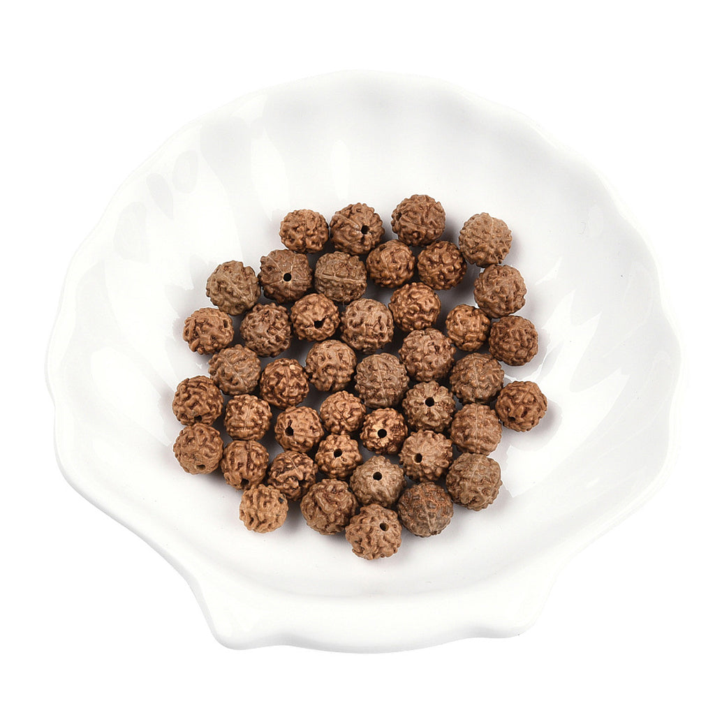 Undyed Natural Rudraksha Beads, Round, Sienna, 6~9x6~9mm, Hole: 0.8~1.2mm | Pack of 1