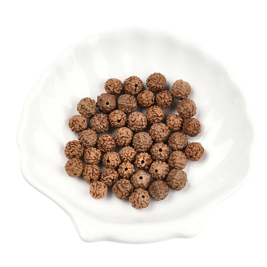 Undyed Natural Rudraksha Beads, Round, Sienna, 6~9x6~9mm, Hole: 0.8~1.2mm | Pack of 1